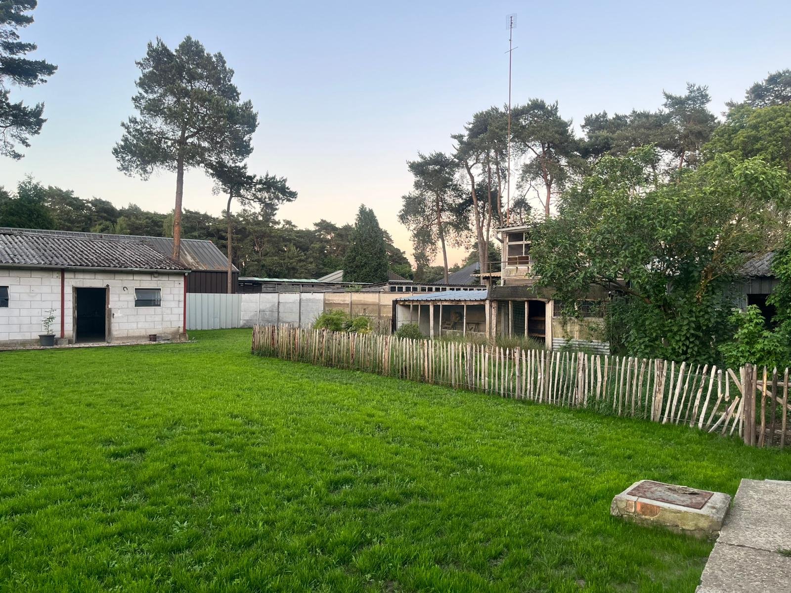 Opgeruimde tuin met strak gemaaid gazon na de tuinontruiming door Gansleeg