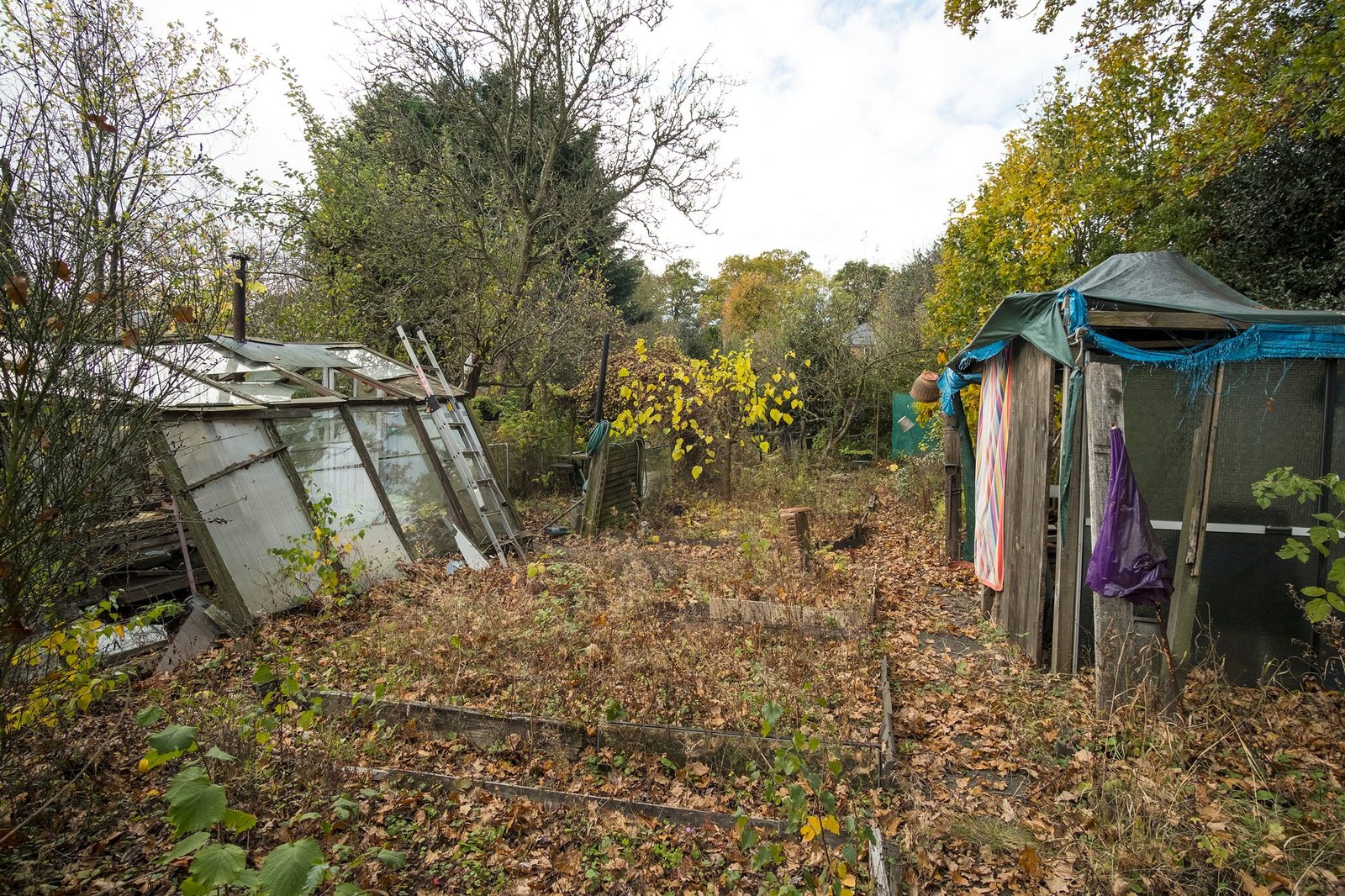 Overwoekerde tuin met serre en tuinhuis voor het leegmaken